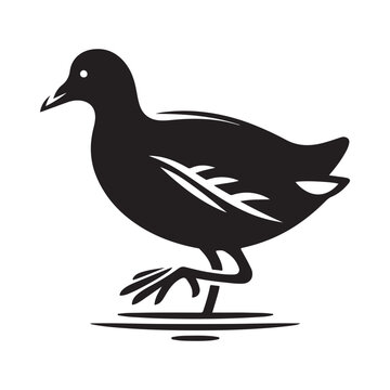 recommend clip art: Common Moorhen and Pelican Silhouette Vector Illustrations – Perfect for T-Shirt Designs