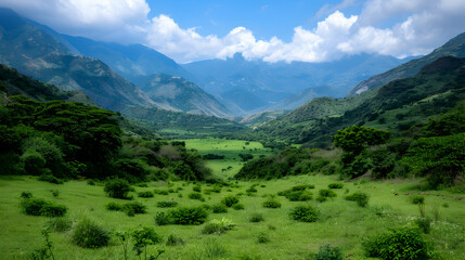 Naklejka premium View Valley With Mountains The Background
