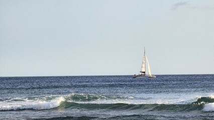 sailboat on the sea