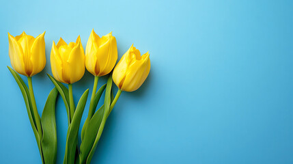 A bouquet of five yellow tulips rests in the bottom left corner against a blue paper background, perfect for Women s Day, Mother s Day, or a birthday greeting with a place for text