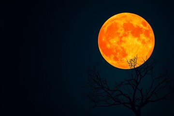 A captivating orange moon illuminates a dark sky, silhouetted by a barren tree, evoking a serene nighttime atmosphere.