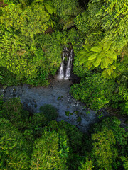 Beautiful tropical Bali landscape with a waterfall in a, green dense jungle forest.