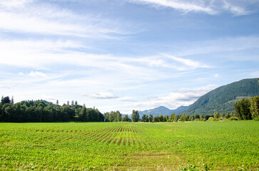 Agricultural farms in Fraser Valley, BC, Canada