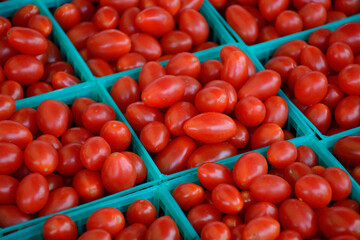 tomatoes in market