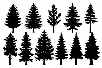 Pine Trres vector trees set. Tree icons are set in a modern flat style. Vector silhouette, graphic trees elements and landscape