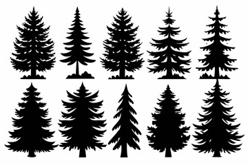 Pine Trres vector trees set. Tree icons are set in a modern flat style. Vector silhouette, graphic trees elements and landscape