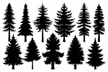 Pine Trres vector trees set. Tree icons are set in a modern flat style. Vector silhouette, graphic trees elements and landscape