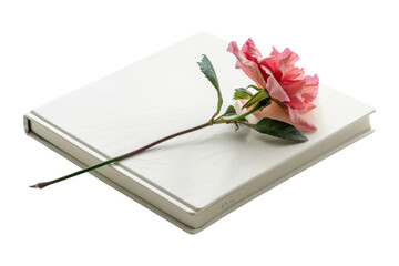 Pink rose bouquet with a blank card, perfect for expressing love