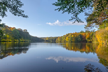 Herbst am Mühlenteich