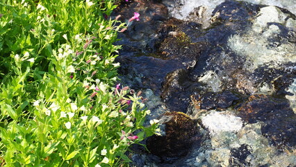 Brandywine meadows hiking