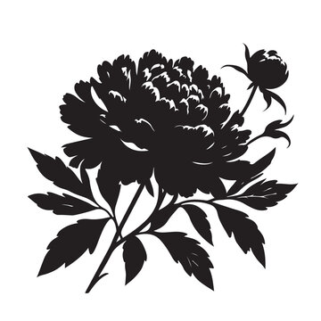 black peony flower silhouette on white clip art preview