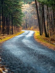 Obraz premium Serene Winding Road Through Autumn Forest