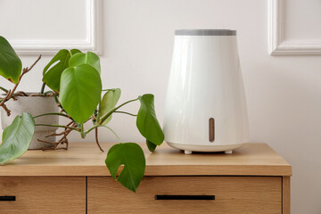 Air humidifier with plant on commode in living room