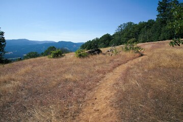 Fototapeta premium Hiking path winding through a meadow of dried grass in the mountains, under a clear blue sky. 