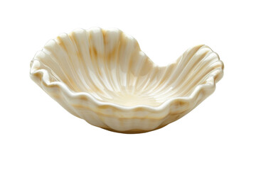 White and beige seashell-shaped dish Isolated