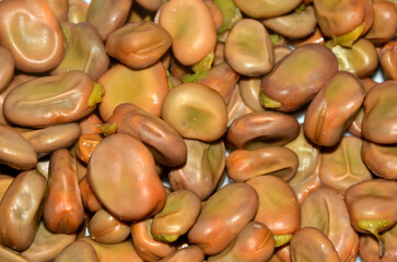 Cooked broad beans good tasty vegetables