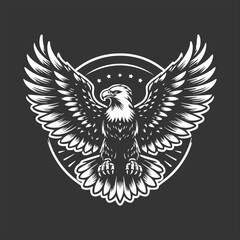 Obraz premium eagle shield with wings