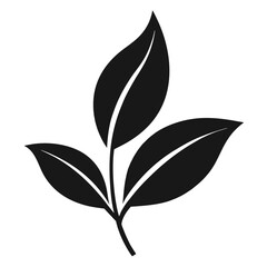 black and green leaves