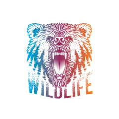 Forest and head of angry bear. Original vector illustration in vintage style isolated on white background. T-shirt design.