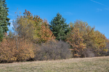 Fototapeta premium Autumn view of South Park in city of Sofia, Bulgaria