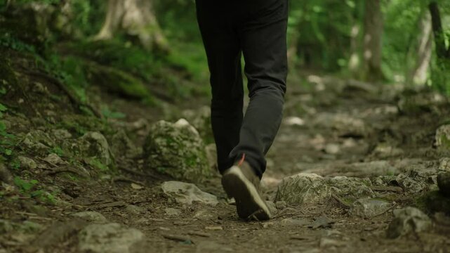 Slow-motion tracking shot of a person hiking on a forest trail, showcasing the beauty of nature and outdoor adventure
