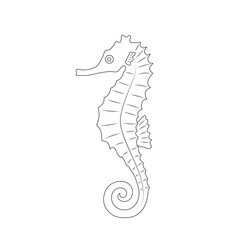 Black and white silhouette of seahorse. Animal of the underwater world of the seas and oceans. Monochrome outline drawing in graphics. Vector illustration. Clipart for coloring, design, cards, print
