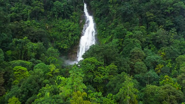 Aerial view of Mapalana Falls in green forest. Waterfall in the tropical mountain jungle. Sri Lanka.