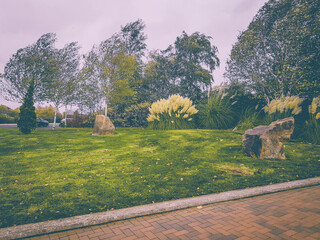 spring in the park