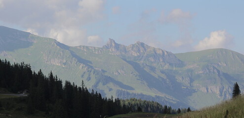 Alpine Landscape In Summer