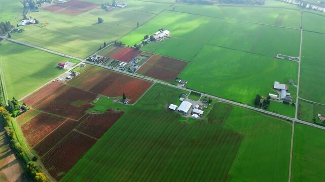 Small town homes set among rural farm fields. British Columbia, Canada in summer