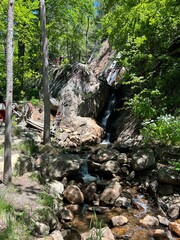 waterfall in the forest