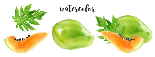 A Watercolor Illustration of a Papaya composition with Beautiful Green Leaves