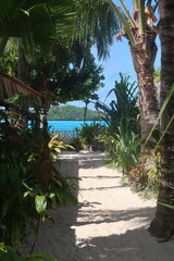 Plage tropicale de sable blanc Polynesie