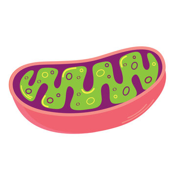 Mitochondria icon clipart avatar logtotype isolated vector illustration