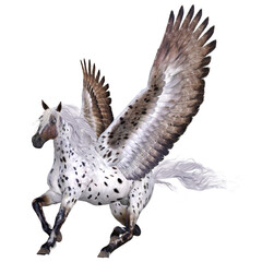 3D render of spotted winged horse flying illustration