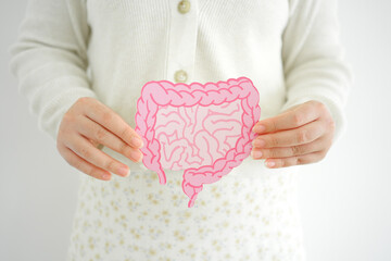 Asian woman hands holding intestine shape, healthy bowel digestion, leaky gut, probiotic and prebiotic for gut health, colon, gastric, stomach cancer concept