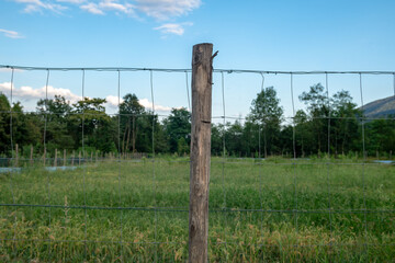 Fototapeta premium wooden pole fence