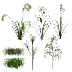 3D render single grass sprouts illustration