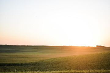 sunset over field