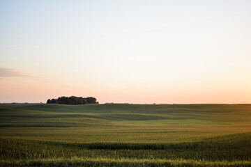 sunset over the field