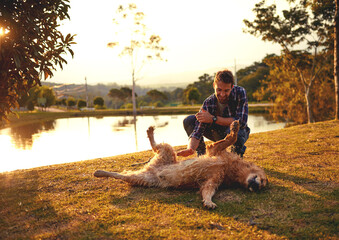 Belly rub, outdoor and man with dog, nature and relax with golden retriever, bonding and together. Massage, pet and person with smile, playing and fun with animal, water and lake in woods and game