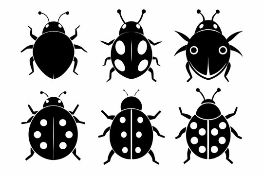 
ladybug set. Black silhouette ladybug vector illustration, set of coccinellidae silhouette
 