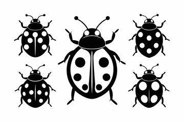 
ladybug set. Black silhouette ladybug vector illustration, set of coccinellidae silhouette
 