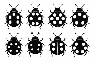 
ladybug set. Black silhouette ladybug vector illustration, set of coccinellidae silhouette
 
