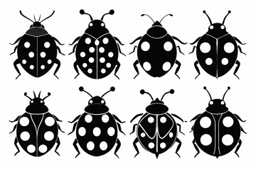 ladybug silhouette vector set, Black silhouette ladybug vector illustration
