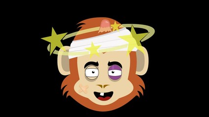 video animation emoticon face monkey or chimpanzee character cartoon, injury, a black eye, with a bump and stars spinning on the head. On a transparent background with alpha channel at zero