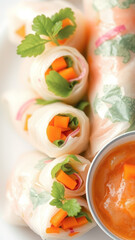 Fresh Spring Rolls with Dipping Sauce
