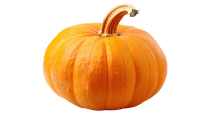 Vegetable pumpkin isolated on white background