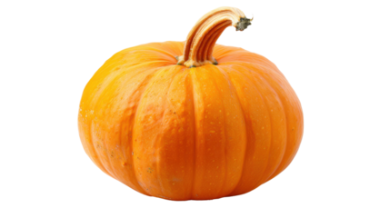 Vegetable pumpkin isolated on white background