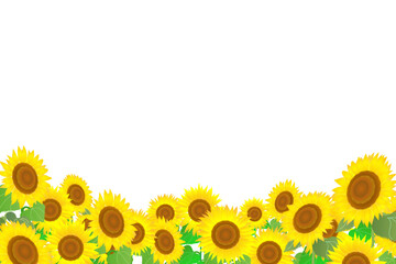 夏のひまわり畑のイラスト